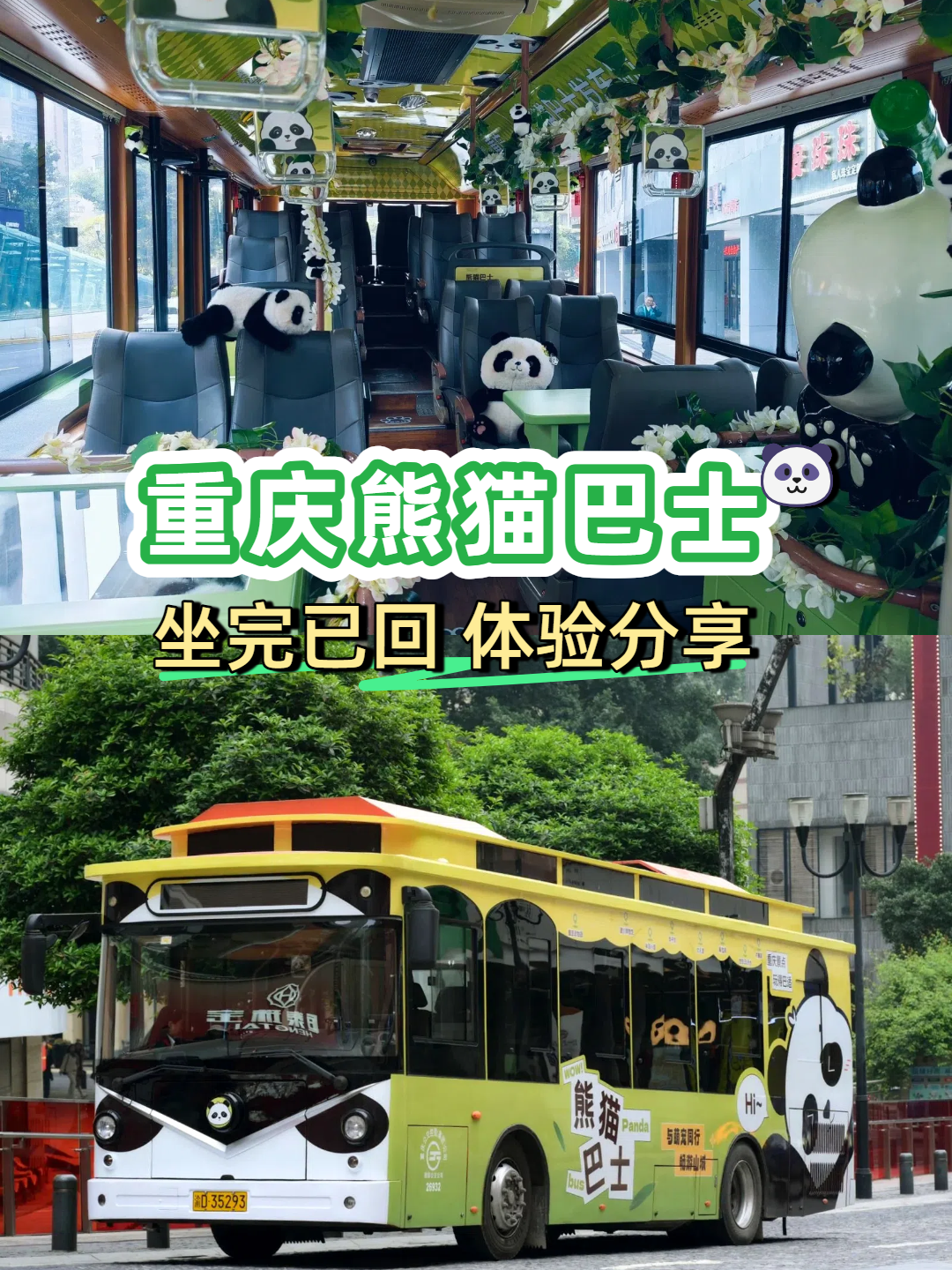 才打卡完熊猫巴士的我:这个行程确实很安逸 	 重庆首条熊猫巴士路线