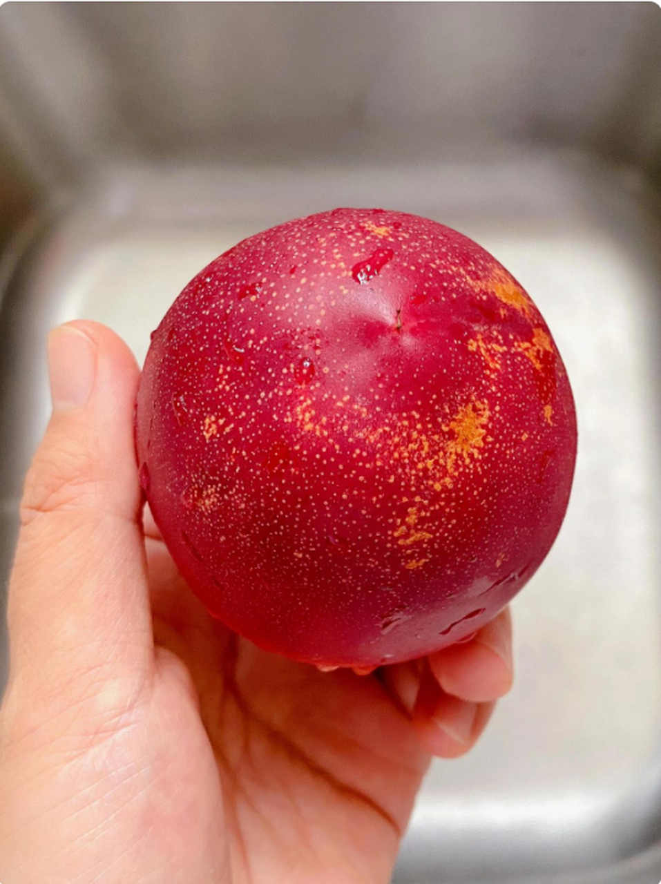 老家的大油桃就是好吃,一口下去,软糯香甜多汁,桃味浓郁,好吃上头!