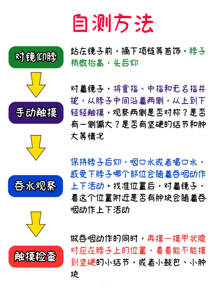 甲状腺测量示意图图片