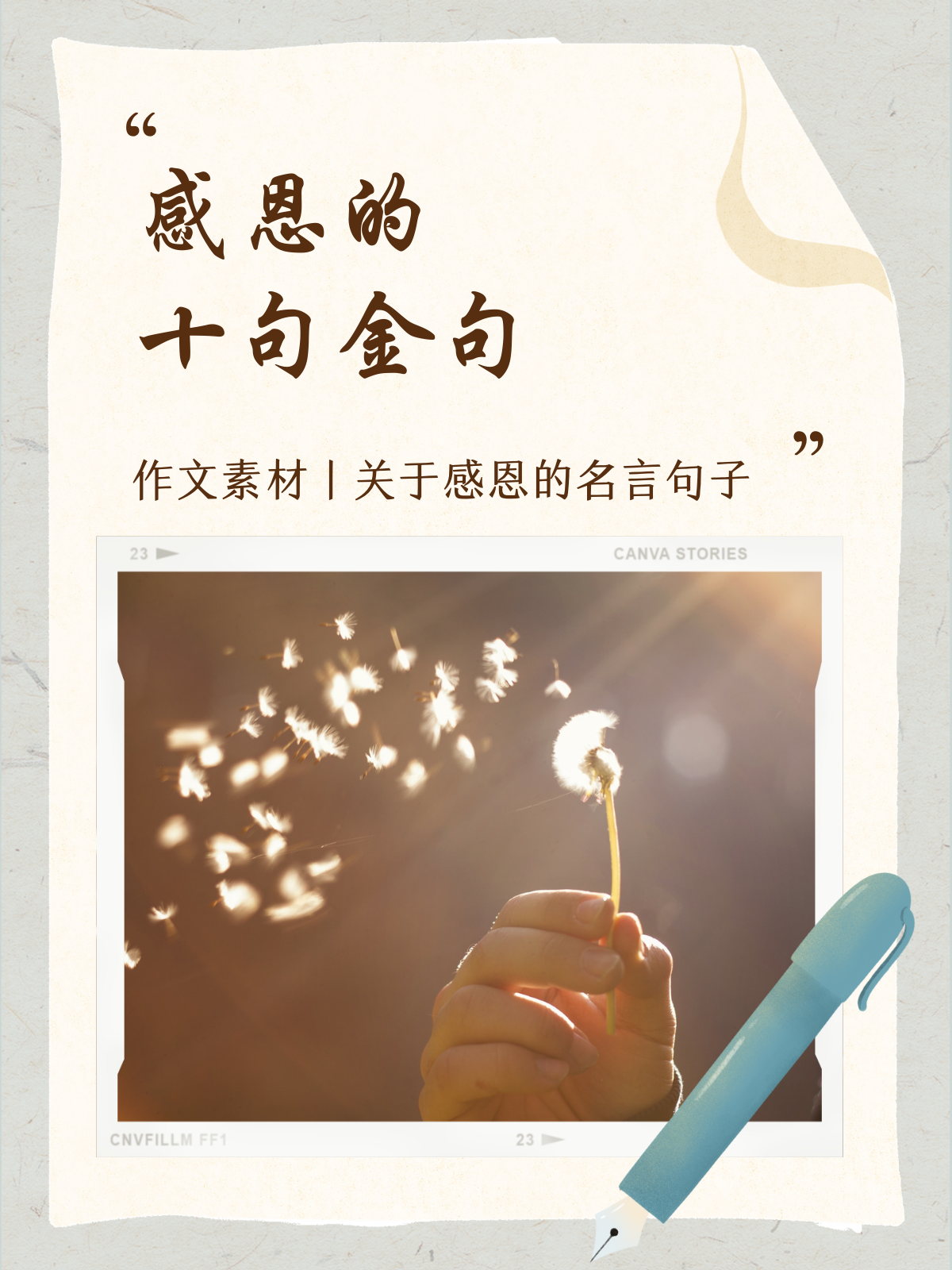 感恩的十句金句 满分作文素材丨关于感恩的名言句子
