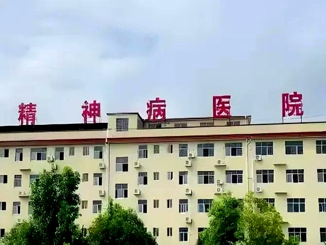 精神病院的大门刚关上,巡演的大幕就拉开了.庞麦郎站在台上,灯光刺眼