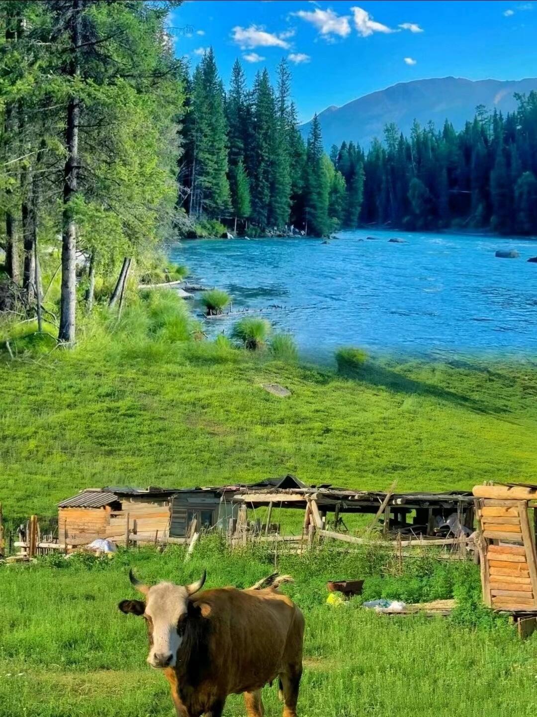 惊艳的风景图片迷人的风景我的阿勒泰壁纸我的阿勒泰风景图片阿勒泰
