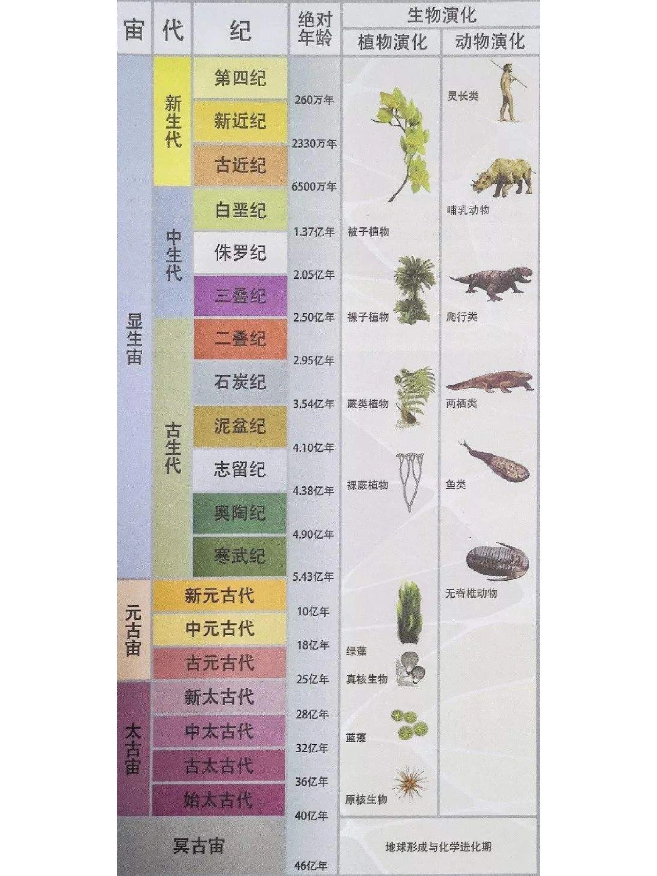 史前生物一览表