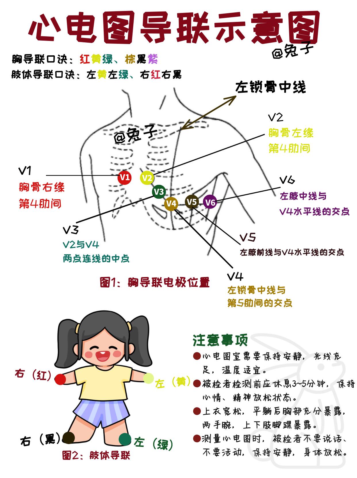 导联位置图片心电图导联心电图连接示意图心电图位置心电图5导联口诀