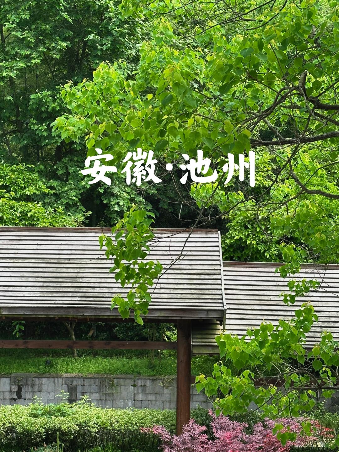 池州景点一日游介绍图片