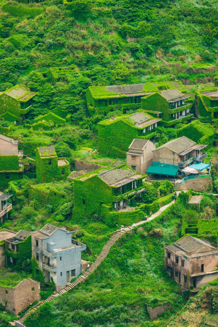 这不是宫崎骏的世界,而是我大浙江的无人村!