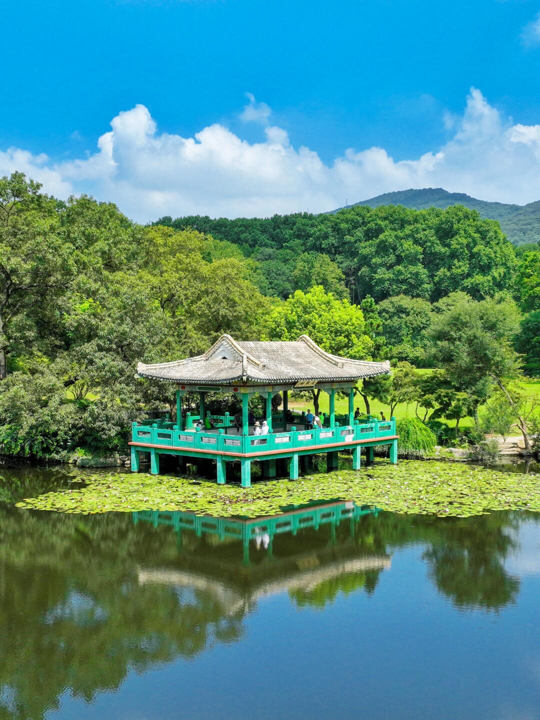 夏天来南京|推荐你去这10个景点  夏日的南京,仿佛一幅生动的江南水墨