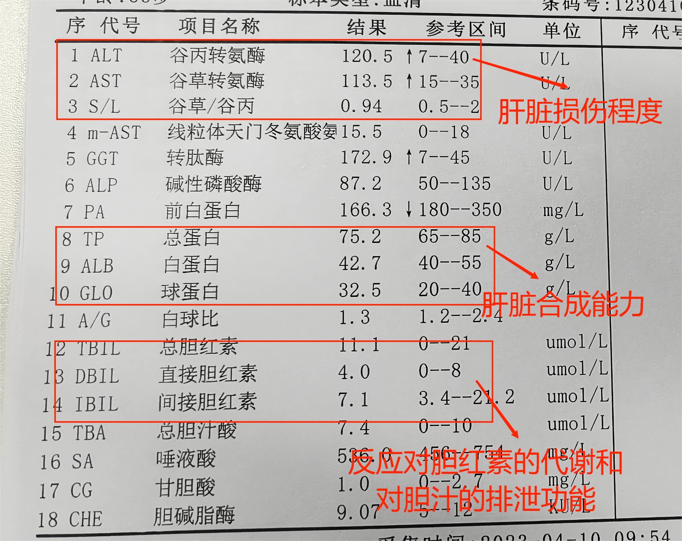 早孕三项指标正常值图片