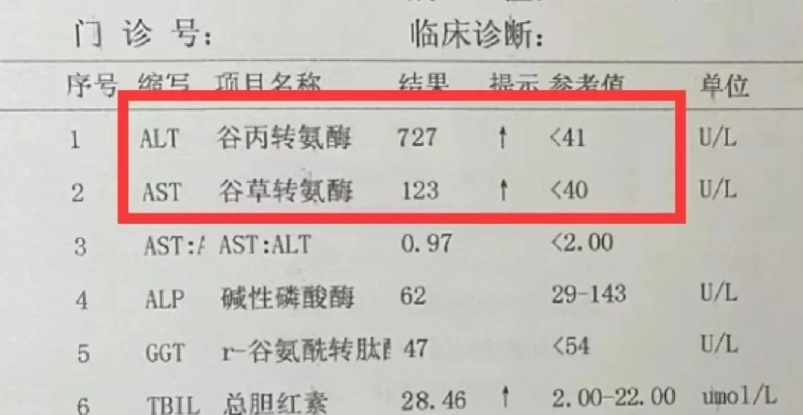 为什么会转氨酶高