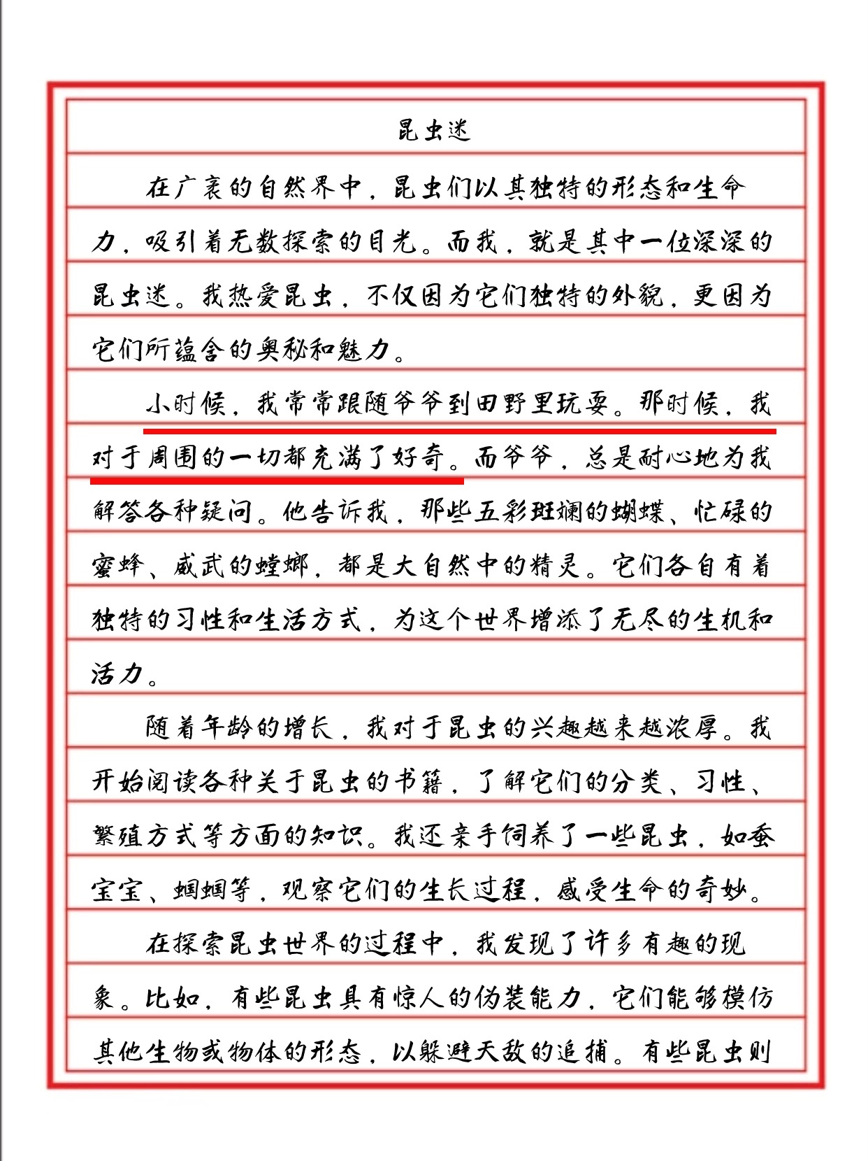 昆虫迷作文优秀作文
