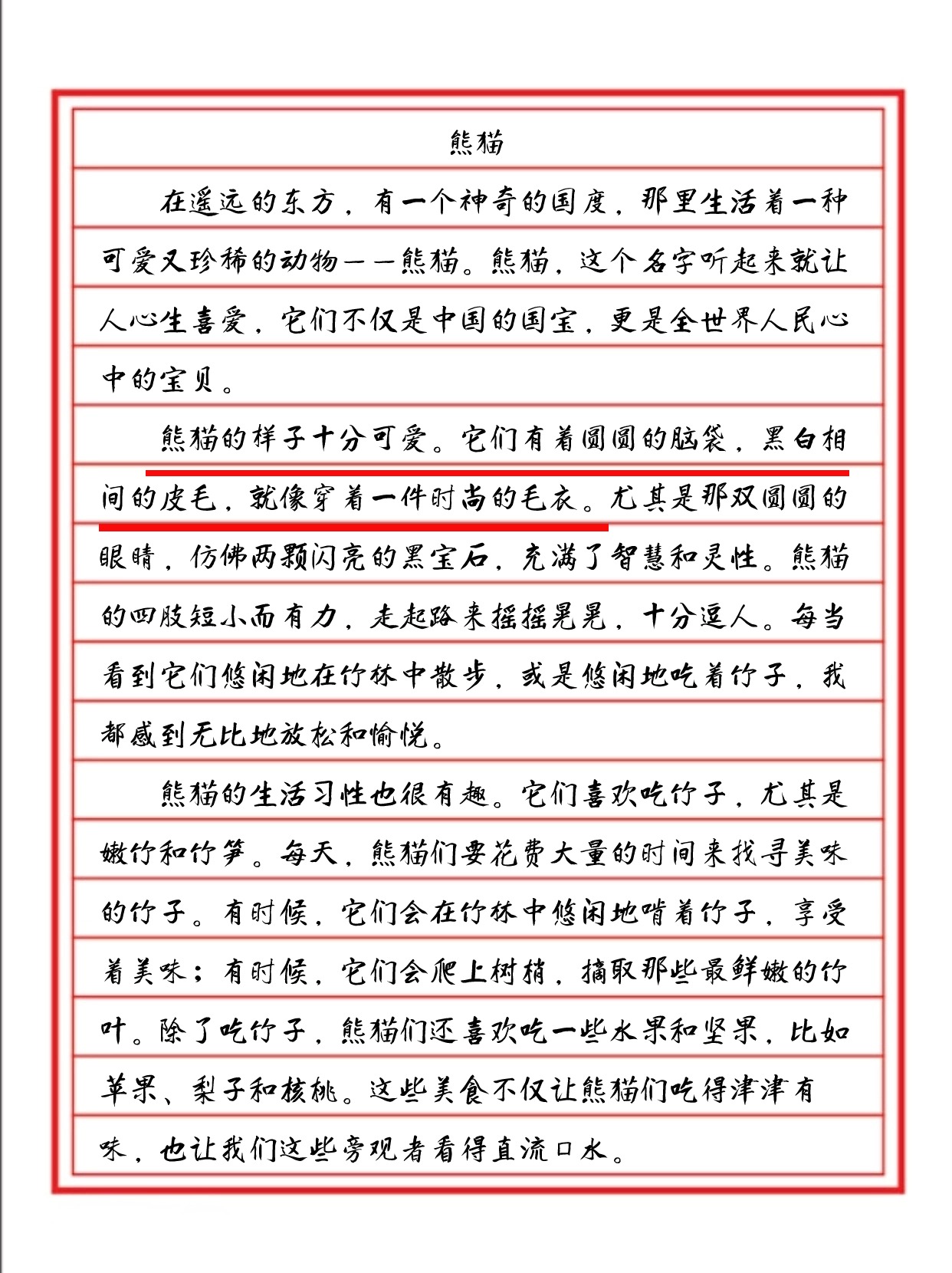 小学三年级作文熊猫