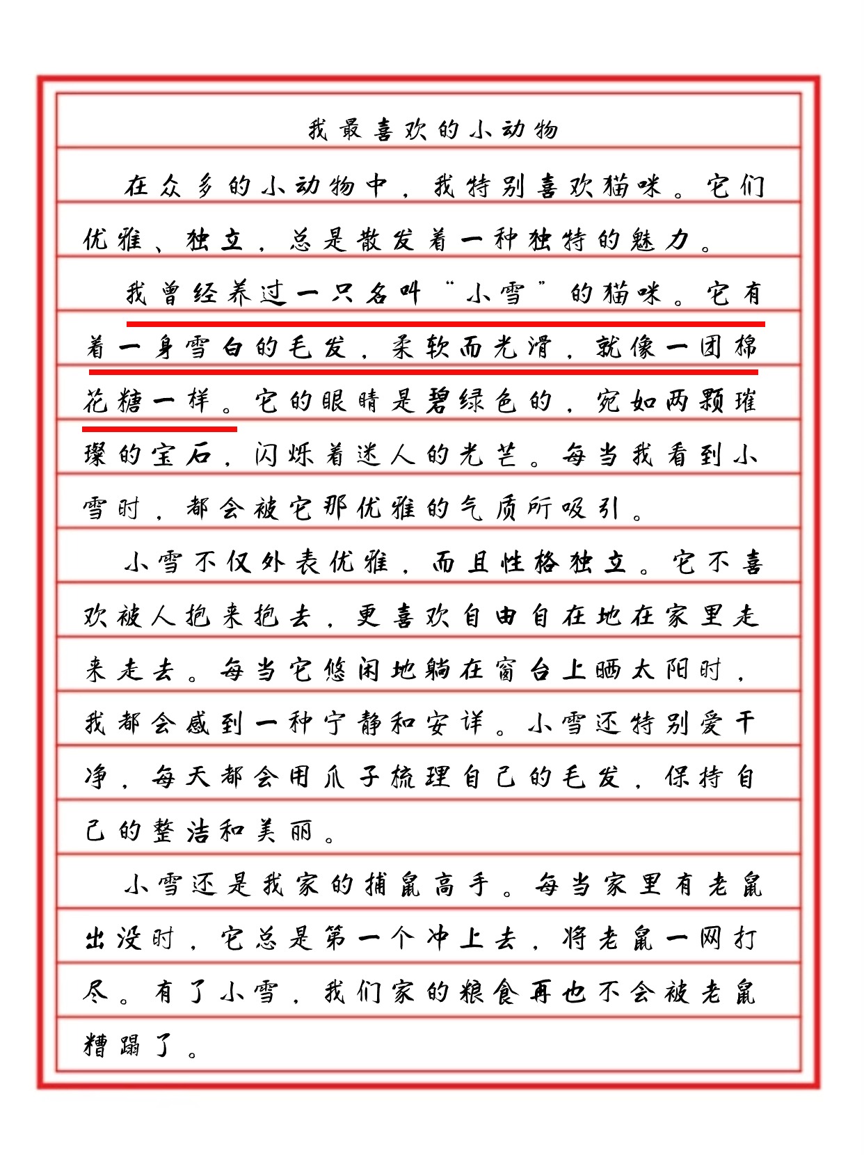 我喜欢的小动物作文图片