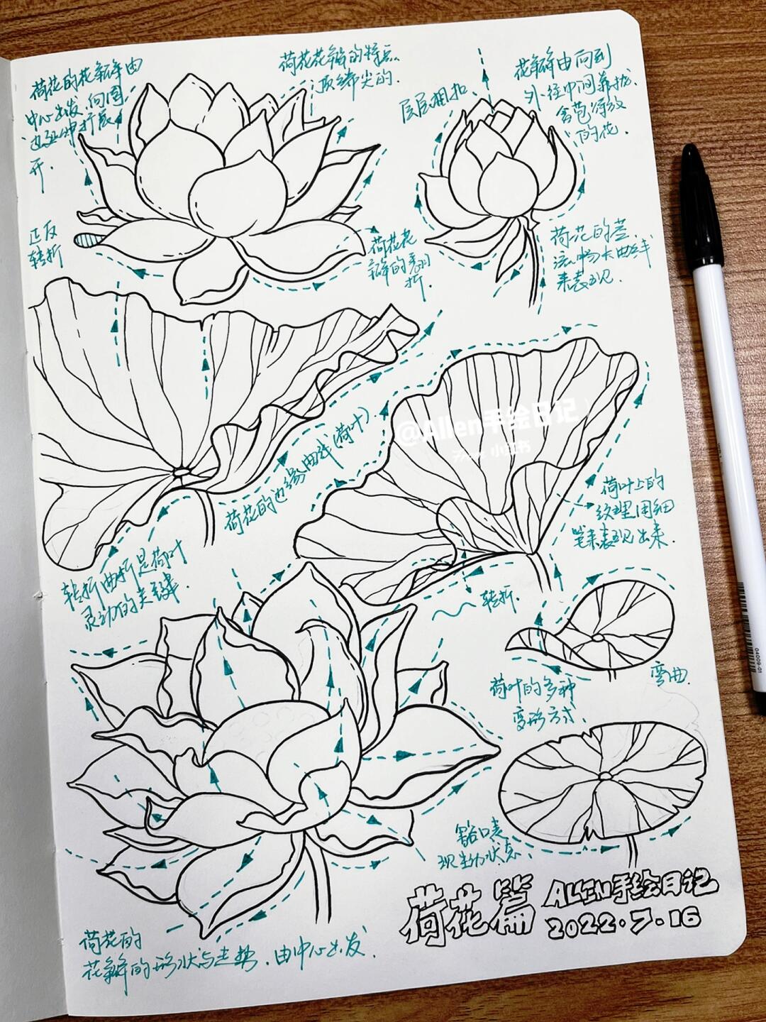 关于视觉传达设计考研手绘素材荷花元素的画法 希望大家喜欢,给大家