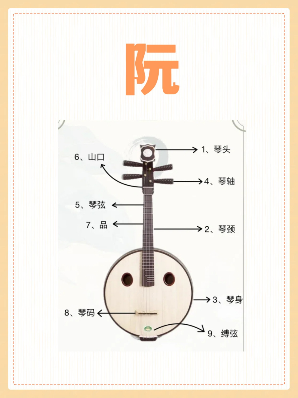 中阮乐器介绍图片