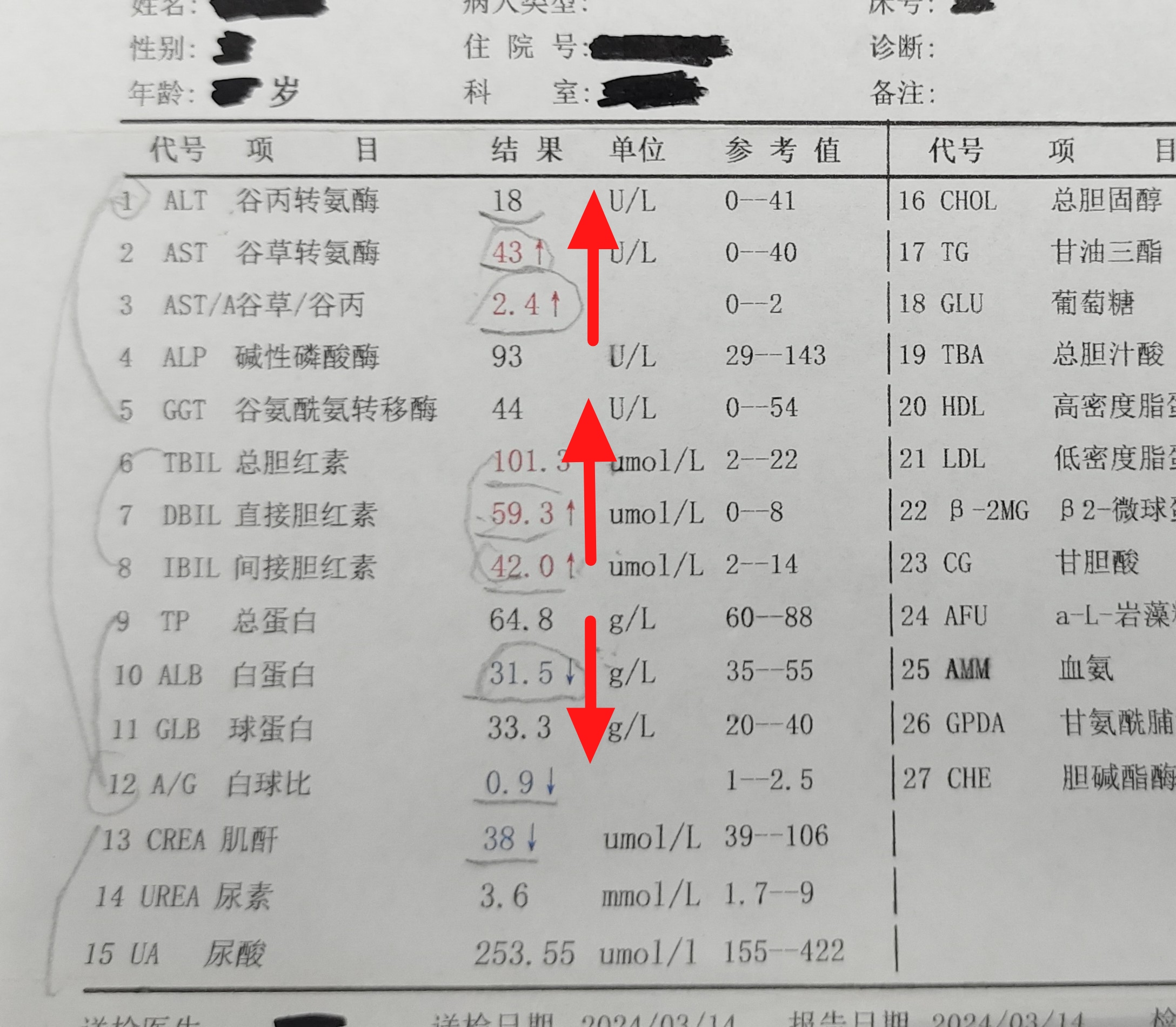 肝炎指标化验单图片