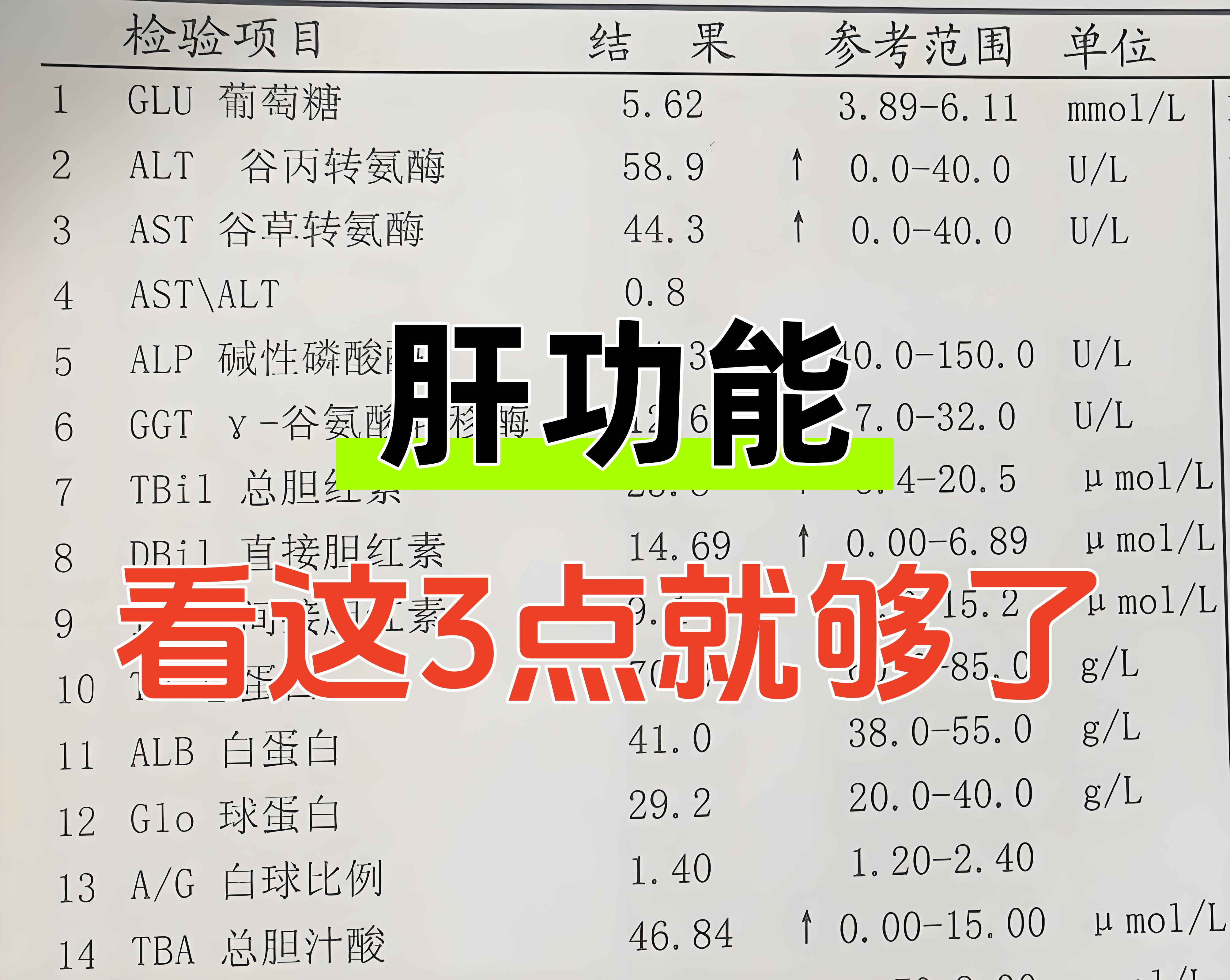 表转氨酶偏高说明身体哪有问题了肝硬度正常值对照表肝功能化验单对照