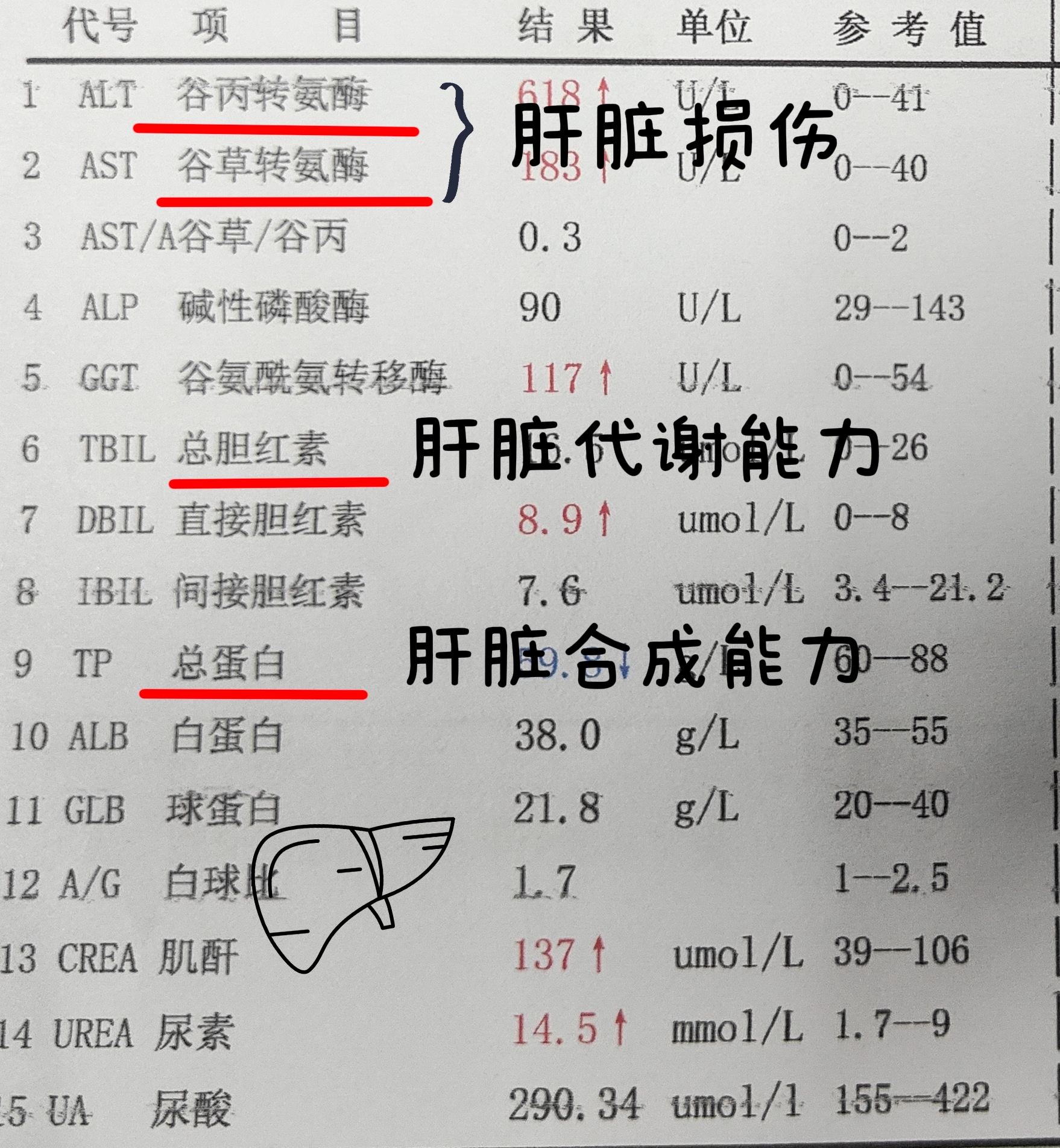 使转氨酶升高,正常值在0