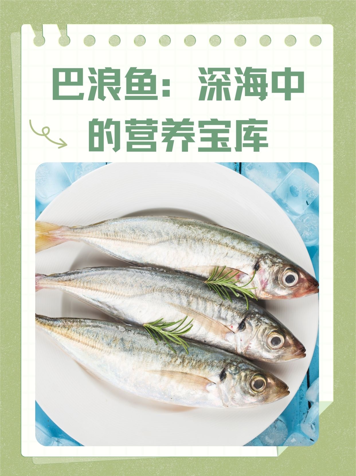 巴浪鱼:深海中的营养宝库  [中国加油]巴浪鱼,又称马鲛鱼,是深海中的