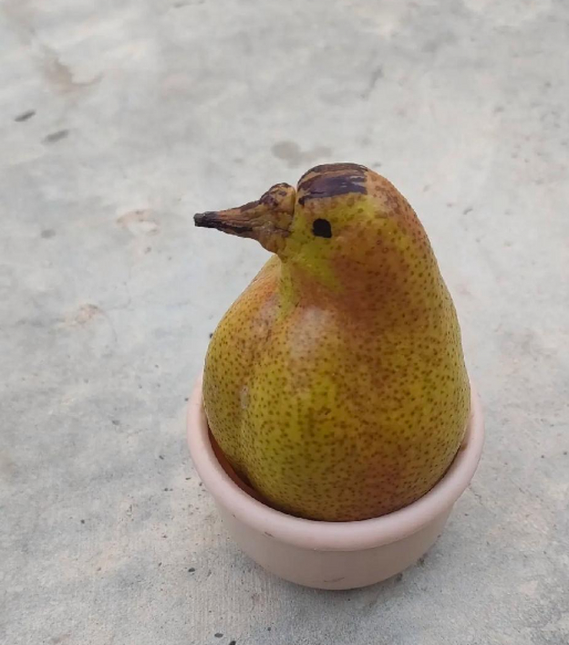 别说还真挺像的,放大镜一瞅,原来是个大鸭梨,远看像鸭子,近看是鸭梨