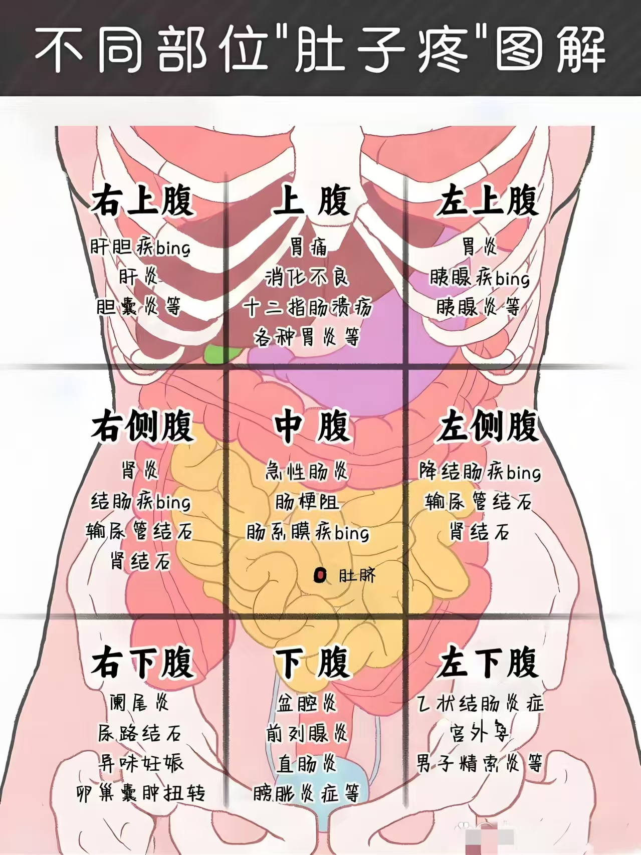 不同部位的肚子疼都代表什么问题?中医一张图讲明白