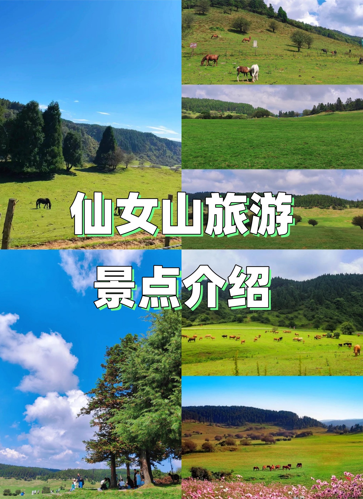 四川武隆旅游景点介绍图片