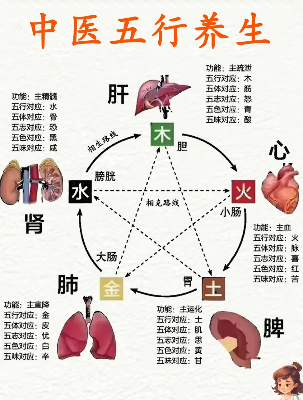 木,火,土,金,水分别对应肝,心,脾,肺,肾五脏.