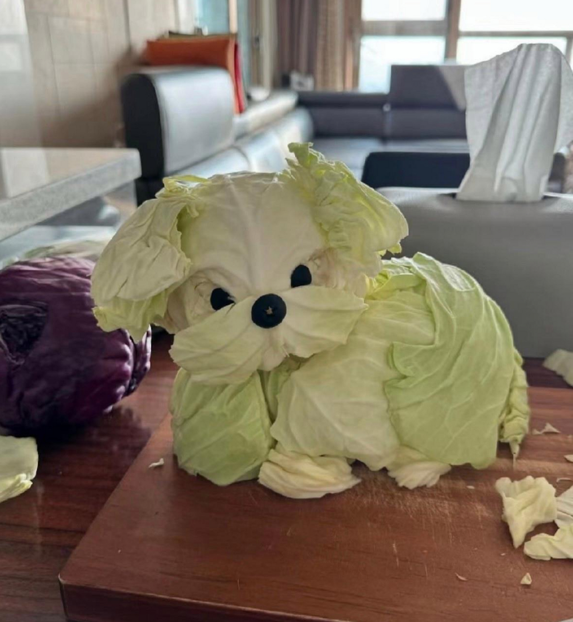 有人想养一只乖巧可爱的小菜狗吗