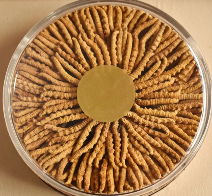 说起冬虫夏草,大家都知道它是滋补圣品,但市面