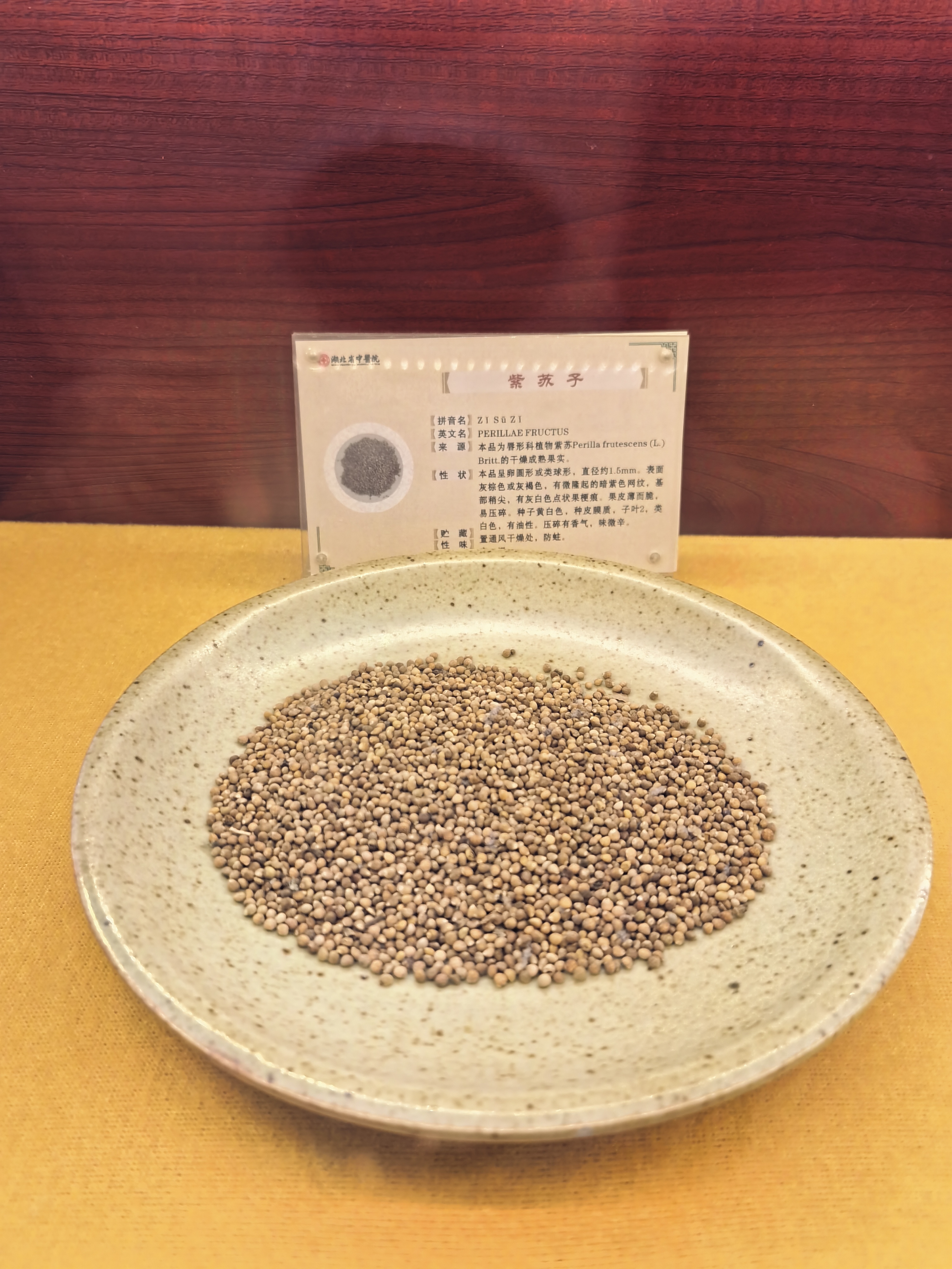 痛风# #中医# #高尿酸##风湿# #类风湿# #中医痛风代新华