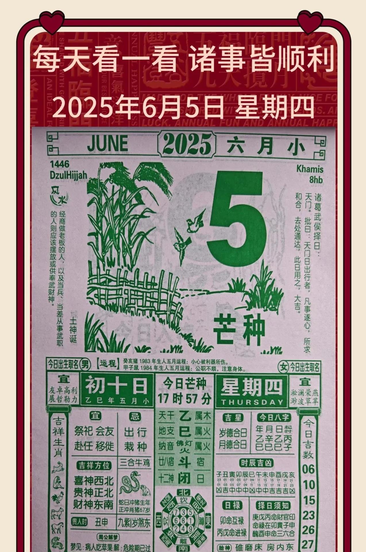 每日生肖运势6月1日(每日生肖运势6月1日出生的人)