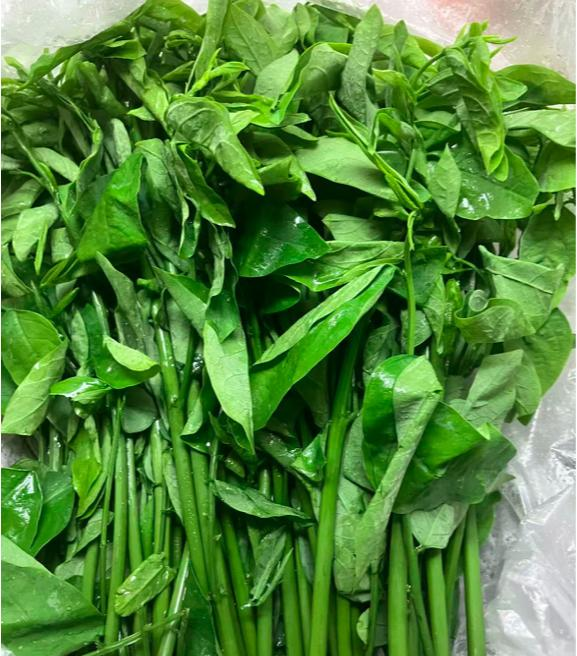 这时,许多野菜迎来了生长旺季,其中树仔菜就是不可忽视的美味之一