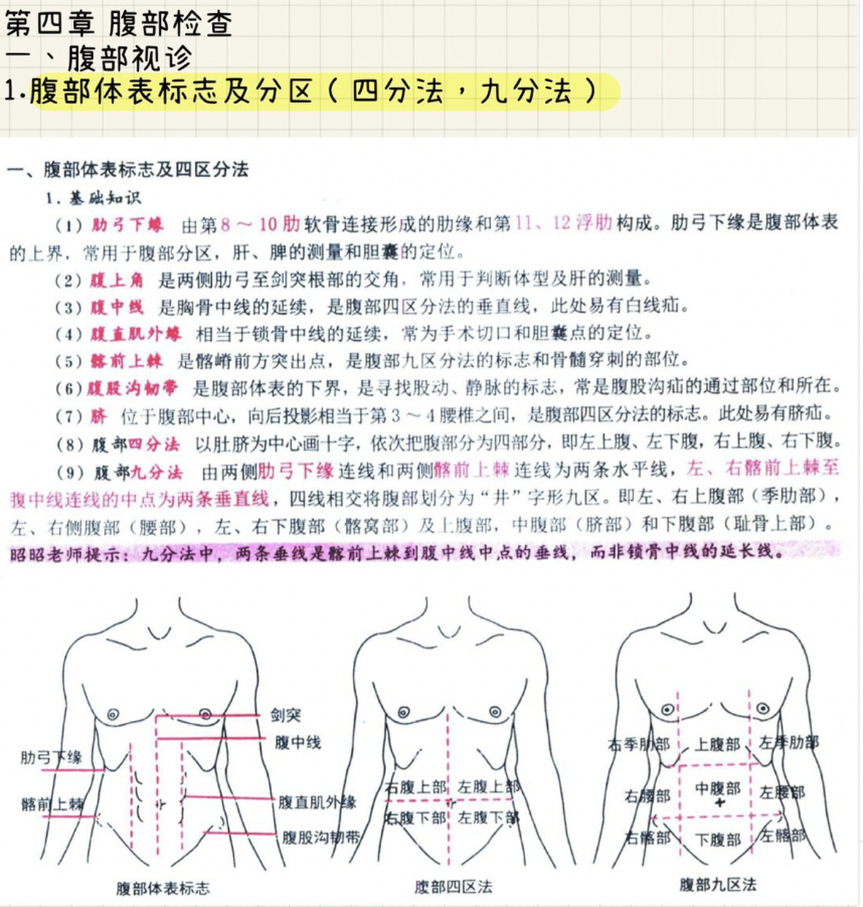 腹部体表标志及分区 执业医考试马上就到啦!