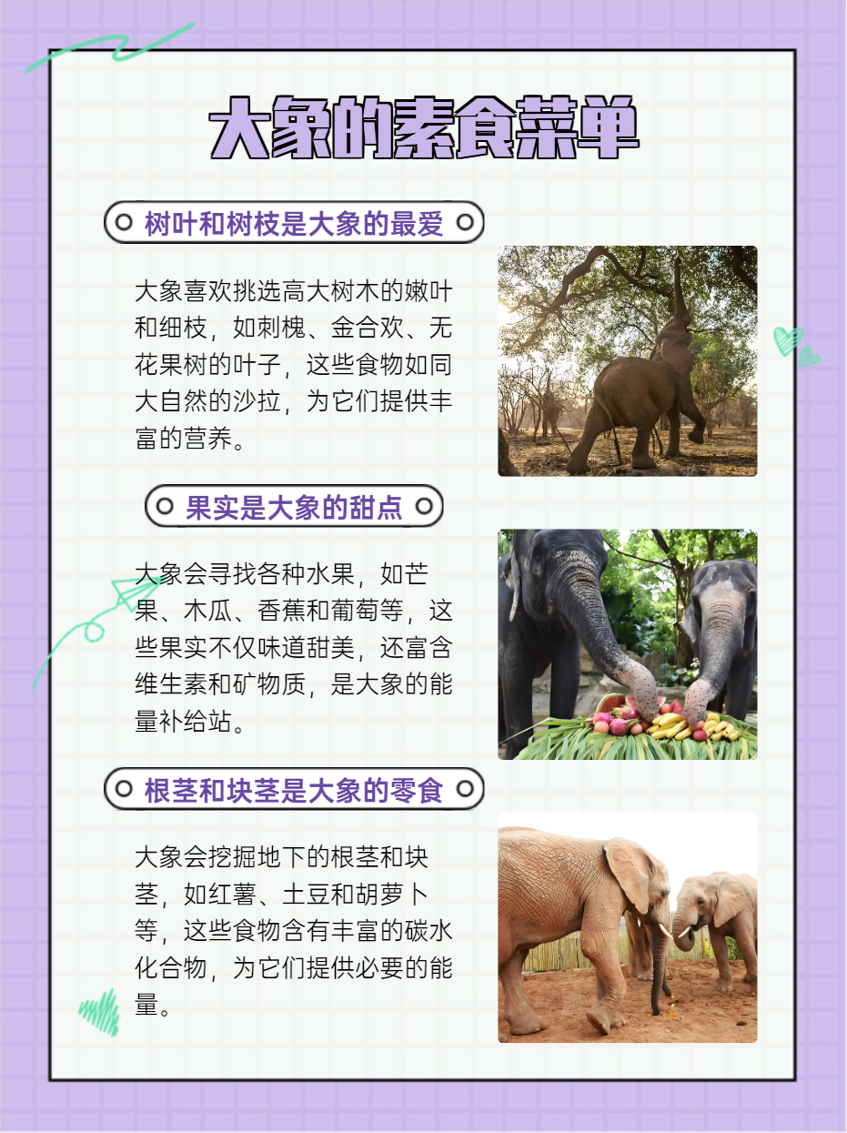 大象是陆地上最大的哺乳动物,它们有着独特的饮食习惯.