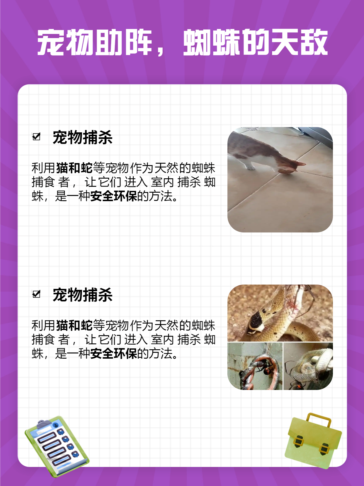 蜘蛛喜欢阴暗潮湿的环境,所以定期打扫,特别是那些容易被忽视的角落