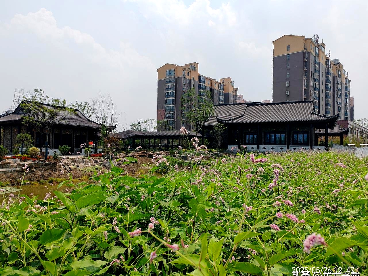 昨天晚上十点多,给我介绍对象的朋友给我打电话