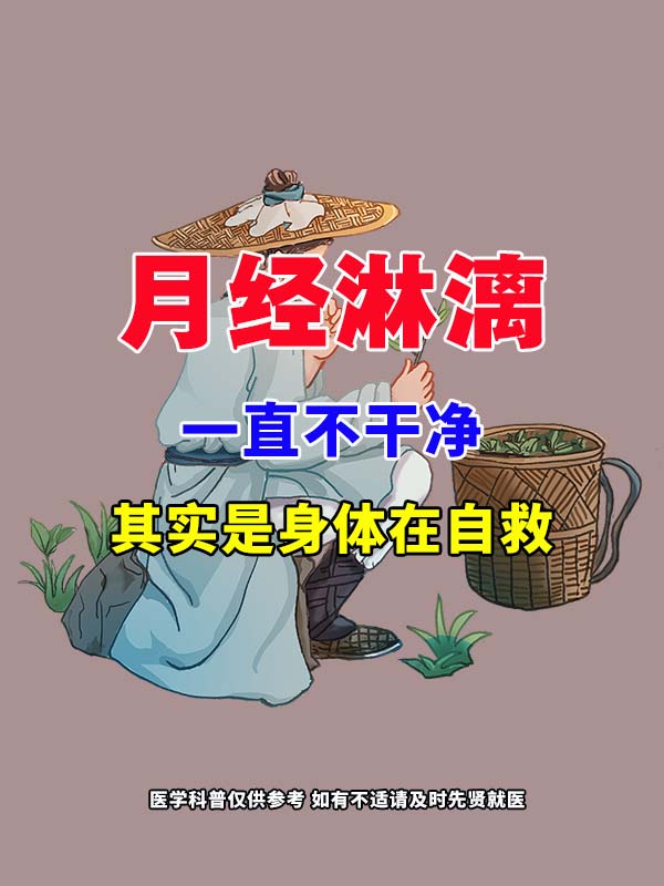 我上美丽寂寞的姨妈