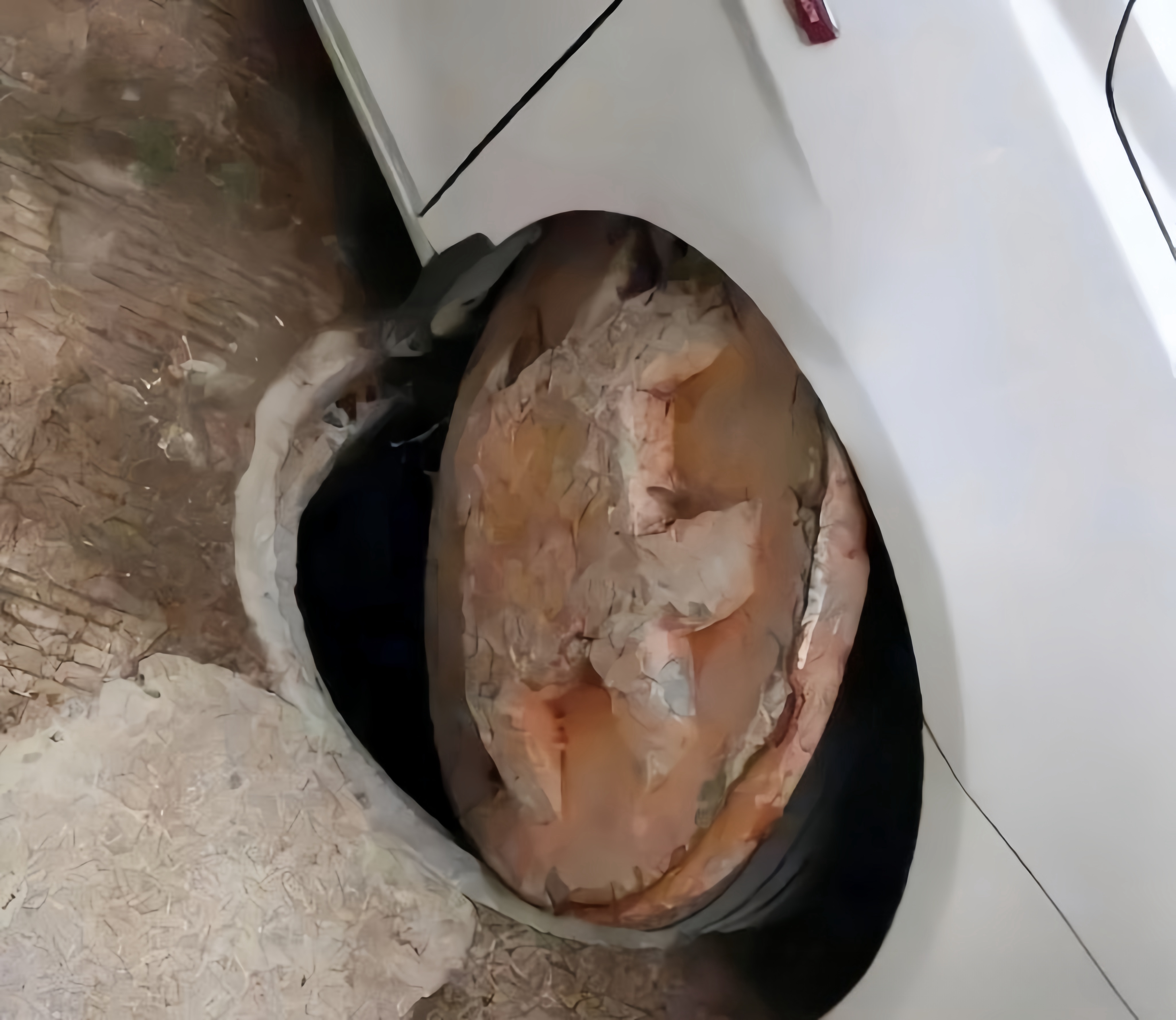 朋友好不容易借了一台车,准备带着大家一起去郊外兜风,没想到开着开着