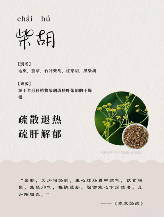使用柴胡煮水饮用,能有效缓解抑郁情绪,使之自然消散