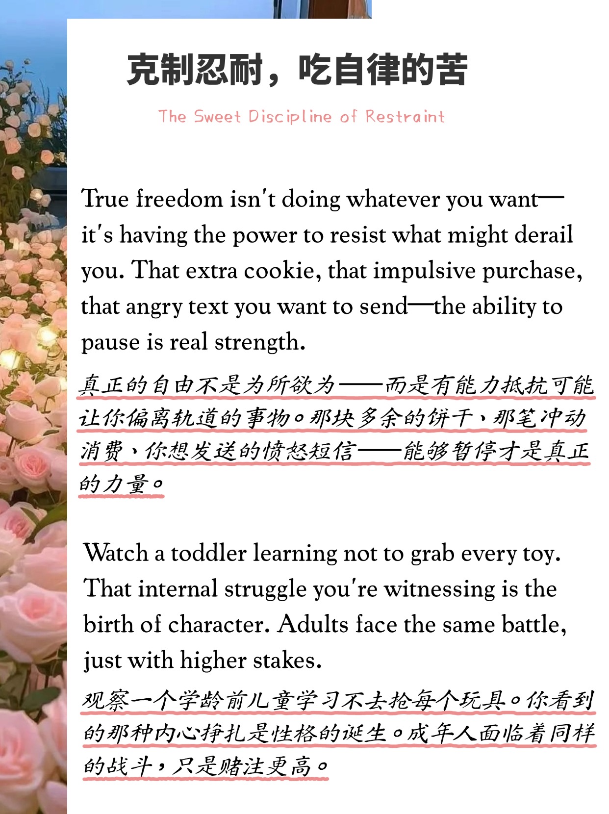 坚持自己的信念英文翻译(坚持信念翻译成英文)