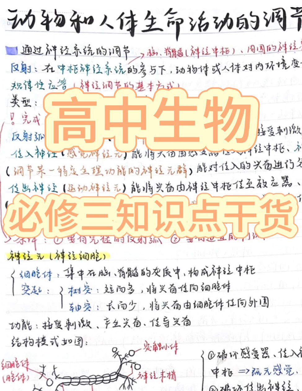 高中生物手册！高一到高三必备，方便查
