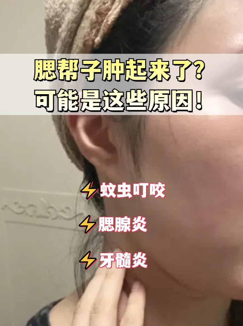 财帮子，财帮子 孟岩