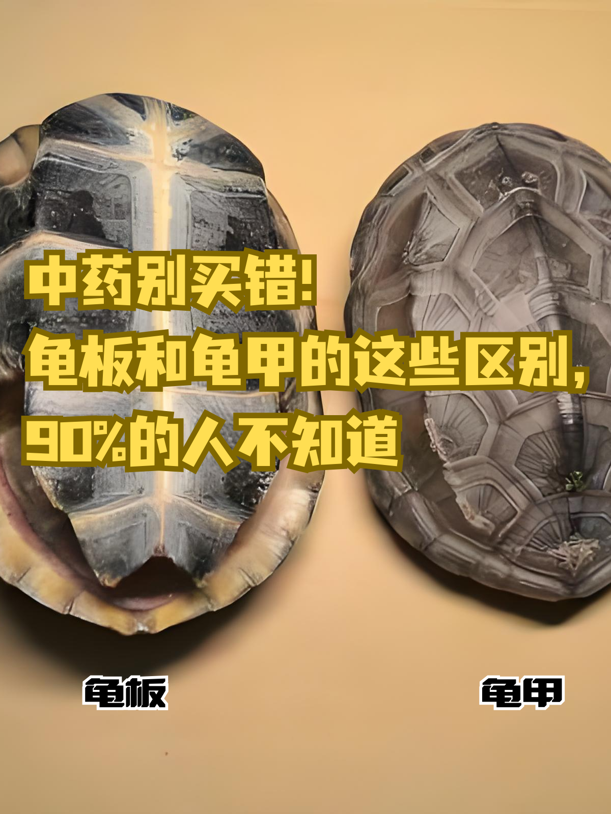 龟板和龟甲的这些区别,90%的人不知道 在中医药材领域,龟板和龟甲常被