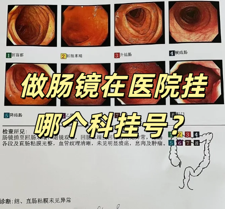 北京地坛医院、昌平区号贩子挂号电话，挂不上的都找我的简单介绍