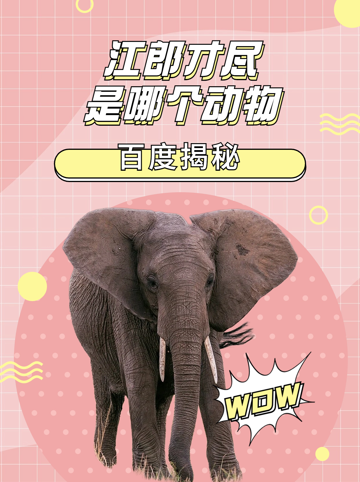 最准确答案代表什么动物