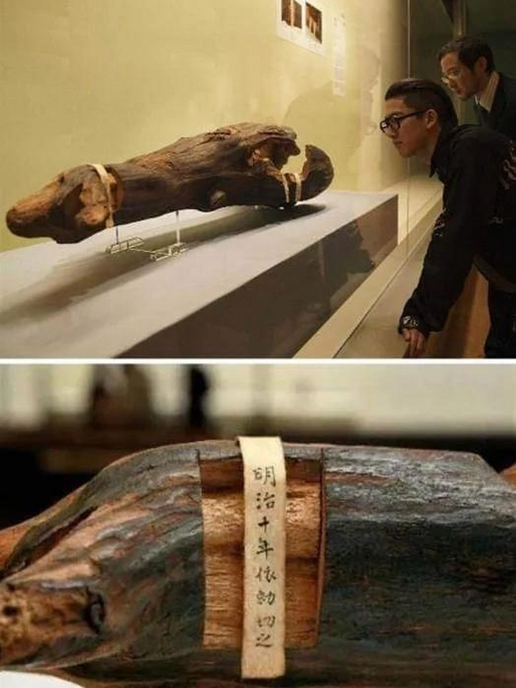 不是啥奢侈品,也不是啥古董,但绝对是个让人眼前一亮的玩意儿!