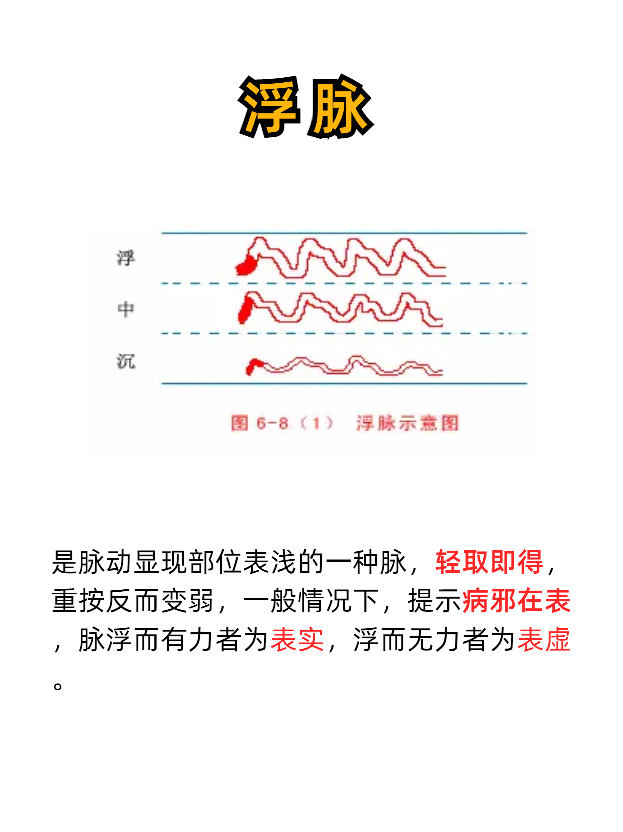 尚食滑脉图片