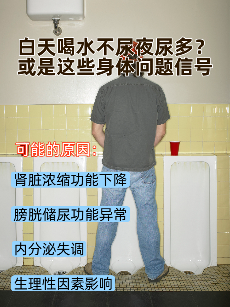 喝了很多水但是尿很少怎么回事百科在线