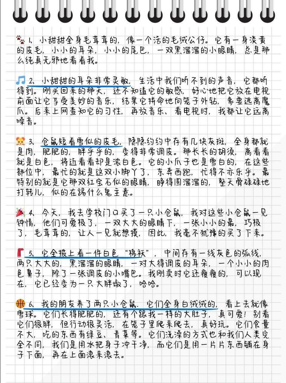 仓鼠体长图片