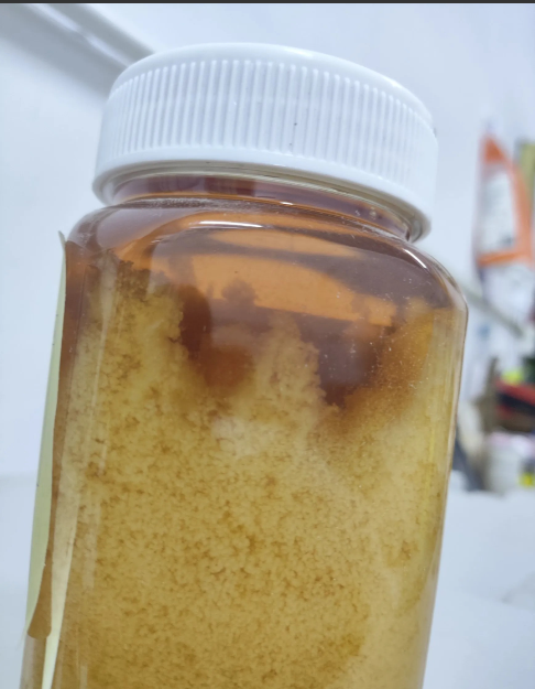 蜂蜜会变质吗?变质后的蜂蜜什么样?的简单介绍