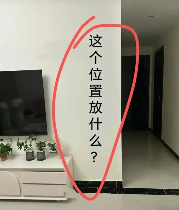 你们觉得这里放什么最合适!